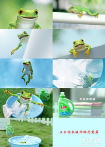 廣州番禺企業宣傳片與三維動畫展示，為何騰視文化動漫制作備受青睞？